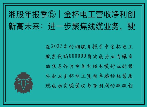 湘股年报季⑤｜金杯电工营收净利创新高未来：进一步聚焦线缆业务，驶向行业巅峰