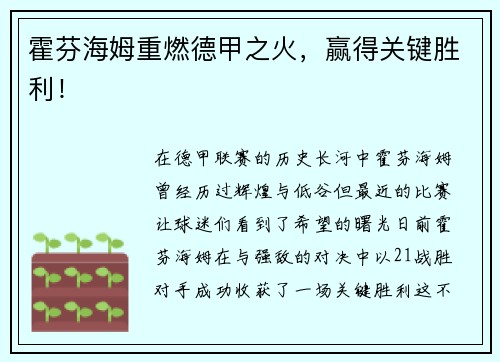 霍芬海姆重燃德甲之火，赢得关键胜利！