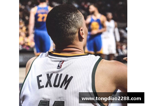leyu乐鱼体育艾克：NBA生涯全景回顾与未来展望 - 副本